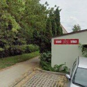 obrazek: avatar BAGAROVÁ ILONA