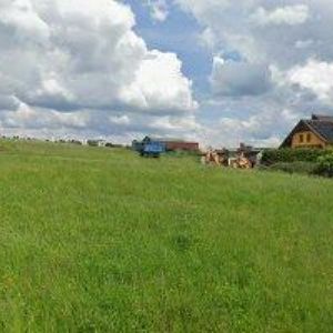 obrazek: avatar SUCHARDOVÁ MARTINA