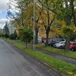 obrazek: avatar HOROVÁ ALENA