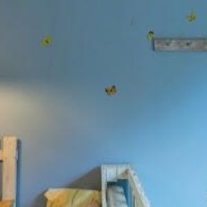 obrazek: avatar KOTRÁNYIOVÁ VĚRA MUDr.