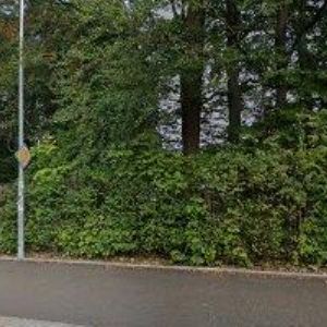 obrazek: avatar POPOVÁ DITA MUDr.