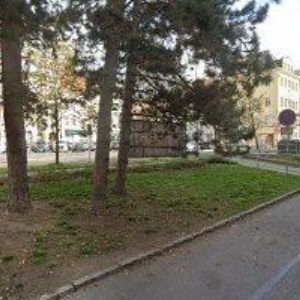 obrazek: avatar MUDr. ALENA BRABCOVÁ s.r.o.