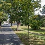 LANGEROVÁ MARTINA MDDr.