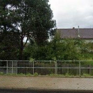 obrazek: avatar KAUFMANNOVÁ ŠÁRKA