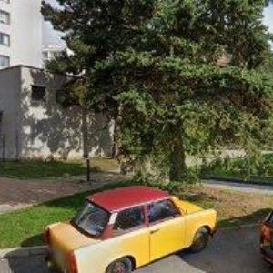 obrazek: avatar DĚDKOVÁ EVA MUDr.