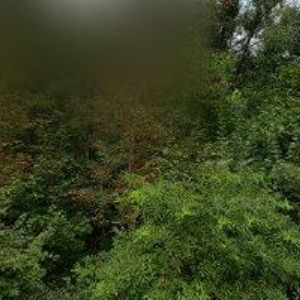 obrazek: avatar CEDYMED s.r.o.