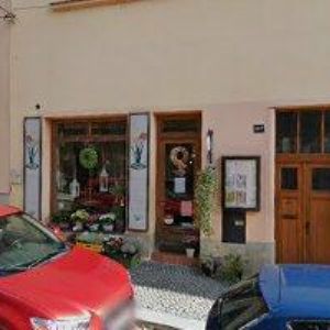 obrazek: avatar HONCOVÁ IVANA Ing.