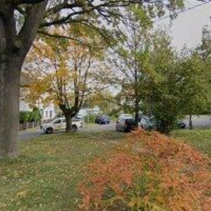 obrazek: avatar SVĚT LÉKÁRNA