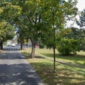 obrazek: avatar ALTMAN ZDENĚK MUDr.