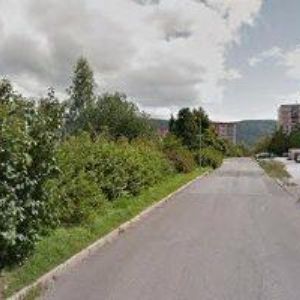 obrazek: avatar MELIDENT