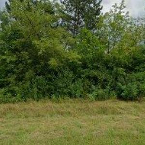 obrazek: avatar MEDIAP, spol. s r.o.