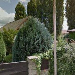 obrazek: avatar ZUBNÍ KREJČÍ s.r.o.