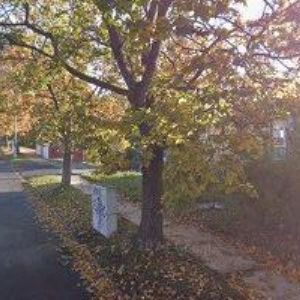 obrazek: avatar ZUBNÍ ORDINACE VRCHLICKÉHO, s.r.o.