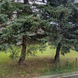 obrazek: avatar HLADKÁ EVA MUDr.