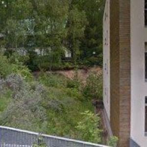 obrazek: avatar ANALGO s.r.o.