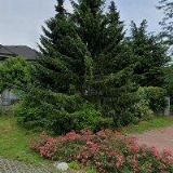 LÉKÁRNA VE SVÍTKOVĚ