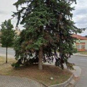 obrazek: avatar PFEFFER BOHDAN