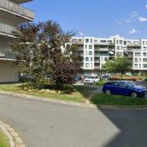 obrazek: avatar NĚMCOVÁ IVA