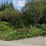 HLADÍKOVÁ EVA MUDr.