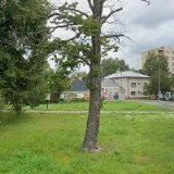 LANGOVÁ ROMANA MUDr.