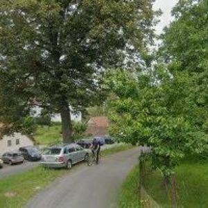 obrazek: avatar PASEKOVÁ ILONA MUDr.