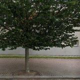 HAUSKNECHTOVÁ HANA MUDr.