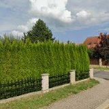 NOVÁKOVÁ GABRIELA MUDr.