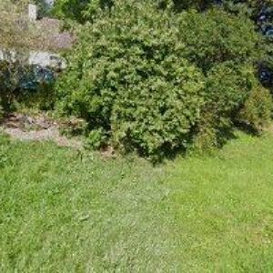 obrazek: avatar KAŠPÁREK VRATISLAV Ing.