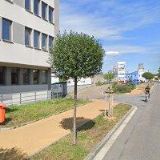 VODOCHODSKÝ LUBOŠ MUDr.