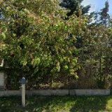 KLUGOVÁ ALENA MUDr.