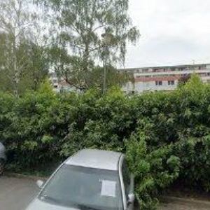 obrazek: avatar BOSÁKOVÁ EDITA MUDr.