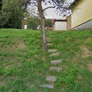 obrazek: avatar KAŇA PETR MUDr.