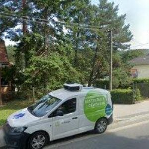 obrazek: avatar KONČITÍKOVÁ ALŽBĚTA MUDr.