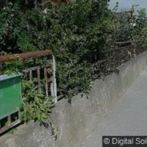 obrazek: avatar KONEČNÁ JANA MUDr.