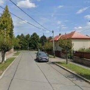 obrazek: avatar ŠKORPIL ZDENĚK MUDr.