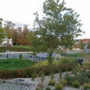 obrazek: avatar ZABLOUDIL JIŘÍ MUDr.