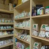 NAKLÁDALOVÁ KATEŘINA MUDr.