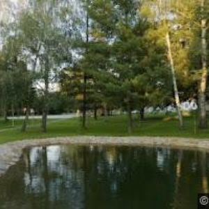 obrazek: avatar ČERVINKA ROMAN MUDr.