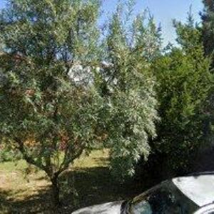 obrazek: avatar MAXERA JIŘÍ