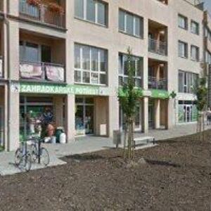 obrazek: avatar BONO DENT