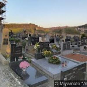 obrazek: avatar KROMDENT spol. s r.o.