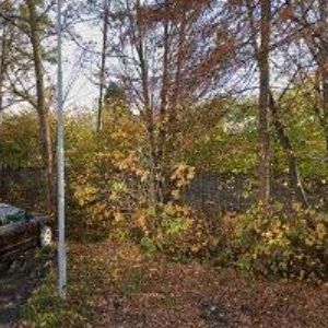 obrazek: avatar ZETEK PAVEL MUDr.