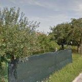 CIMBÁLNÍKOVÁ ALENA MUDr.