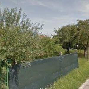 obrazek: avatar CIMBÁLNÍKOVÁ ALENA MUDr.