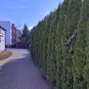 obrazek: avatar MATUŠÁKOVÁ IVA MUDr.