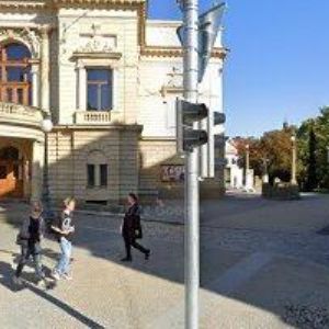 obrazek: avatar Nadace Rudolfa Löwyho a plzeňských židů na záchranu plzeňských synagog