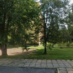 obrazek: avatar MIBA