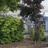 BDO CZECH REPUBLIC s.r.o.