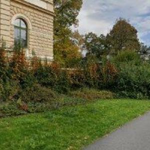 obrazek: avatar ŠKOLA SEBEOBRANY COMITATUS