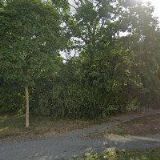 REZKOVÁ MARIE-REHABILITAČNÍ ZAŘÍZENÍ